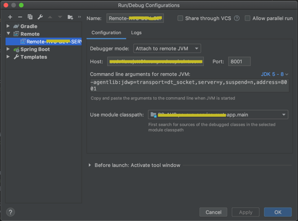 Remote Debug with Intellij